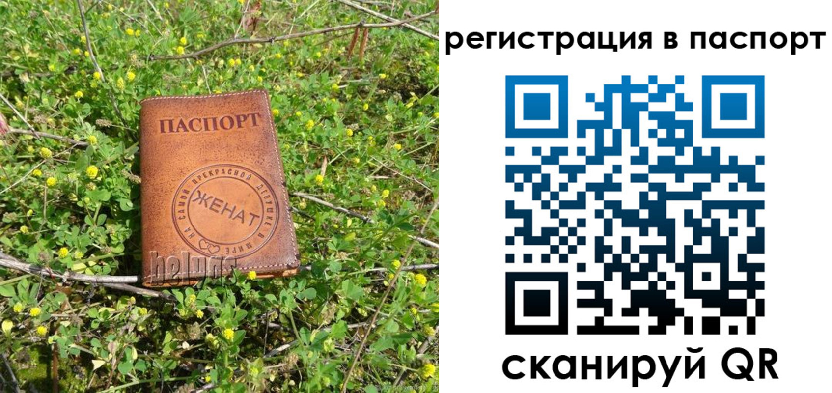 прописка законно в Омской области